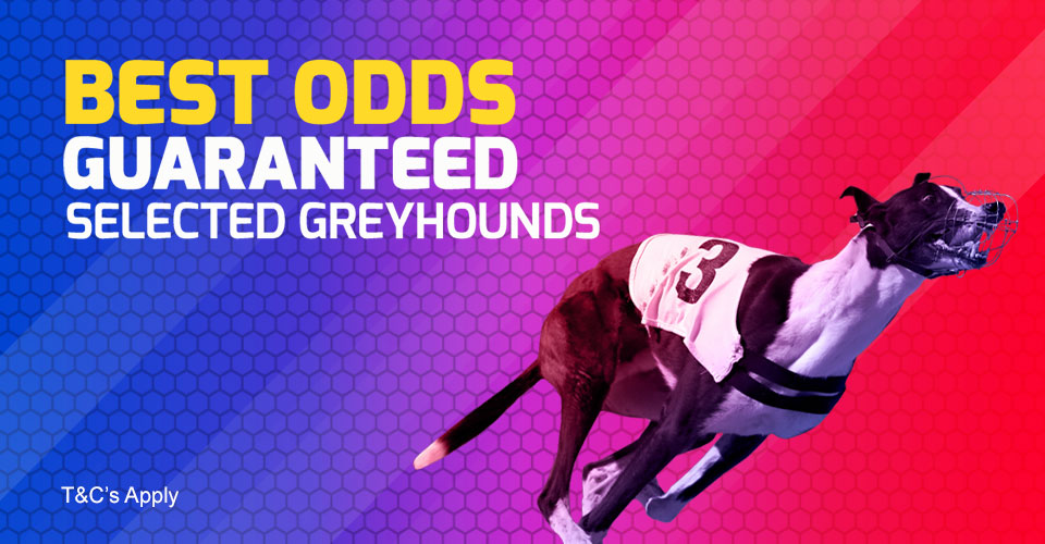 bookmaker betfred greyhound best odds guaranteed offer