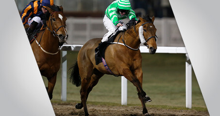 betway horse racing promotion