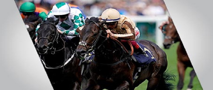 horse racing promotion betway yankee