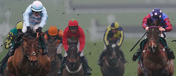 cheltenham betting contest betvictor