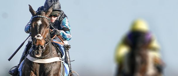 bookmaker betvictor horse racing bonus altior special