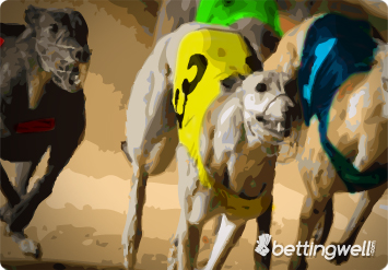 Greyhound betting
